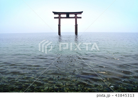 白鬚神社の大鳥居 白鬚神社の大鳥居 43845313