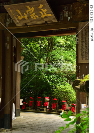 瑞鳳寺 瑞鳳寺 43845542