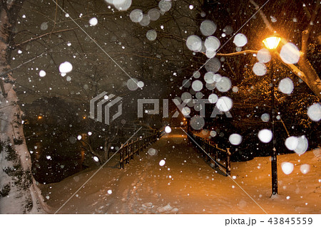 記録的大雪が降り積もった福島県郡山市民の憩いの場穴場人気スポット五百淵公園吹雪が輝く反射冬イメージ 43845559