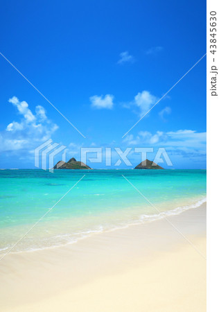 ラニカイビーチ　ハワイ 43845630