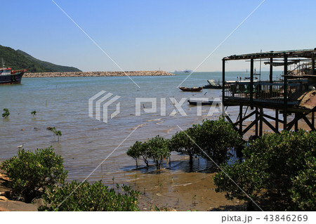 Tai O, the fishing village in Hong Kong Tai O, the fishing village in Hong Kong 43846269