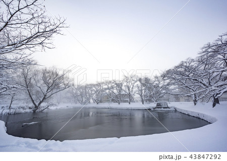 福島県郡山市民の憩いの場穴場人気スポット神秘的な真冬の香久池公園深々と降り積もる雪 福島県郡山市民の憩いの場穴場人気スポット神秘的な真冬の香久池公園深々と降り積もる雪 43847292