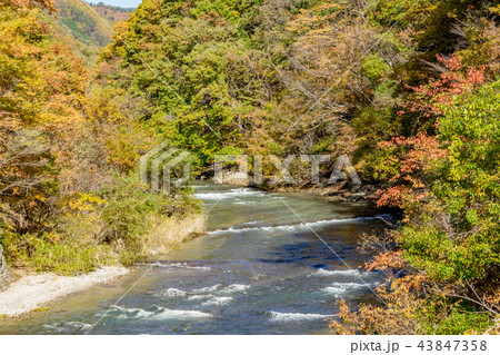 【群馬県】吹割渓谷 43847358