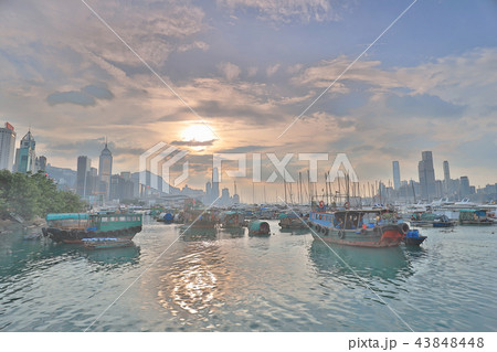 view Skyline of HK at Typhoon Shelter view Skyline of HK at Typhoon Shelter 43848448