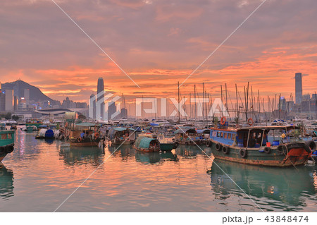 view Skyline of HK at Typhoon Shelter 43848474
