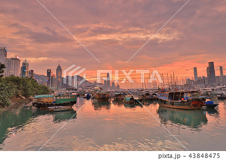 view Skyline of HK at Typhoon Shelter 43848475