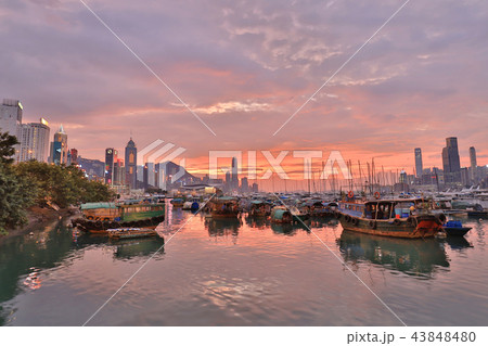 view Skyline of HK at Typhoon Shelter 43848480