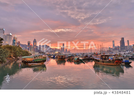 view Skyline of HK at Typhoon Shelter view Skyline of HK at Typhoon Shelter 43848481