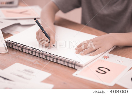英語 英語 43848633