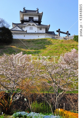 掛川城天守と掛川城公園の花広場（本丸広場） 43848805