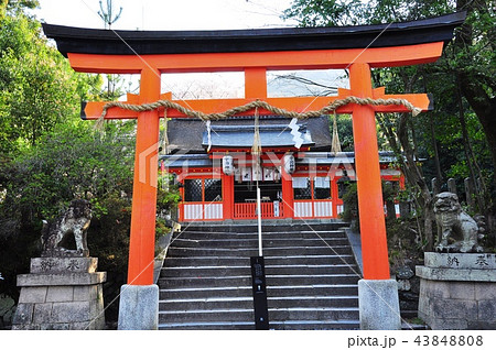 宇治神社境内の赤い鳥居と中門の写真素材