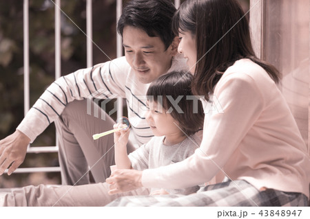 家族 家族 43848947