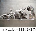パルテノン神殿の彫刻 パルテノン神殿の彫刻 43849437