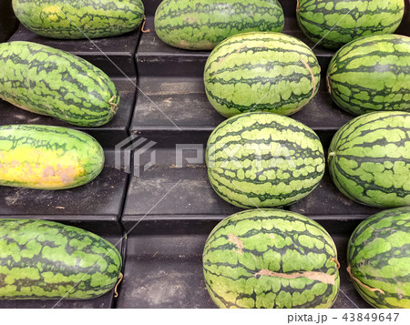 台湾 アジア人 アジアン 43849647