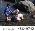 水の中の生物を探す 43849742
