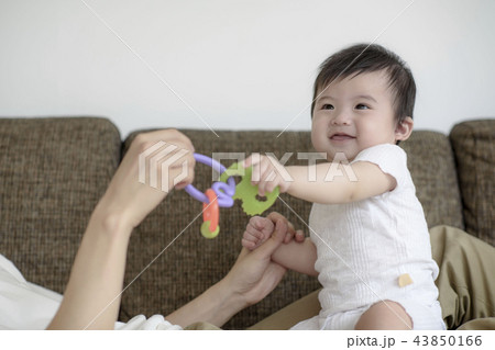 家族 ファミリー 愛 43850166