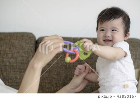 家族 ファミリー 愛 43850167