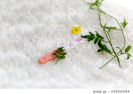 妊娠検査薬 妊娠検査薬 43850494