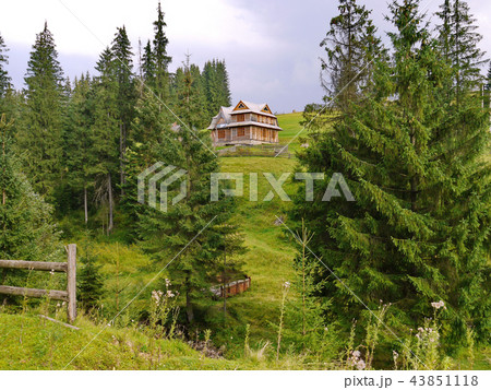 Wooden two-storey house in the shadow of green con 43851118