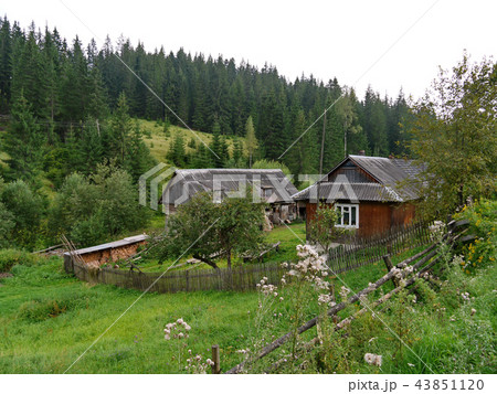 Old neglected rural houses in the background of a 43851120