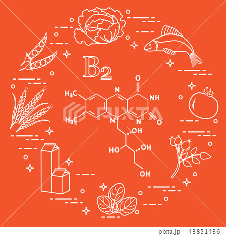 Foods rich in vitamin B2 Fish, peas and other. 43851436