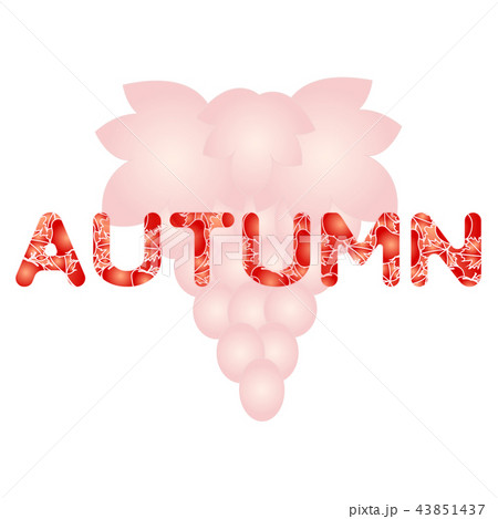 Grapes for wine and juice production 43851437