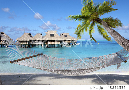 hammock and the dark blue sea 43851535
