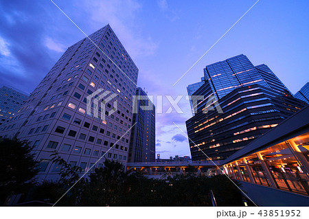 日本の東京都市景観　大崎駅前のゲートシティ大崎（画面右）など、街並みを望む（夜景） 43851952