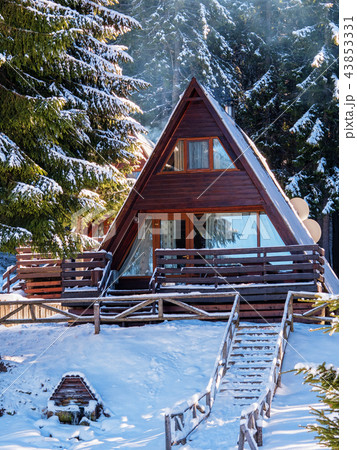 Wooden house in winter forest Wooden house in winter forest 43853331