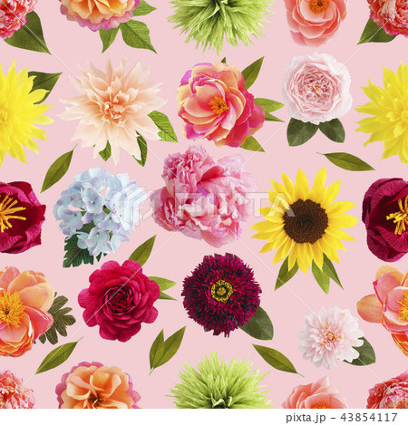 Crepe paper flower seamless pattern pastel colors Crepe paper flower seamless pattern pastel colors 43854117
