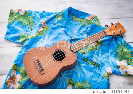 ulkulele and hawaiian shirts 43854442
