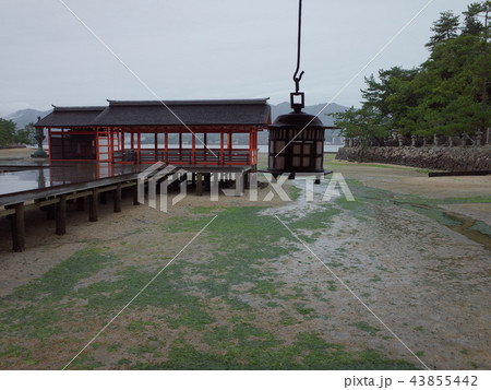 右楽房_厳島神社 43855442