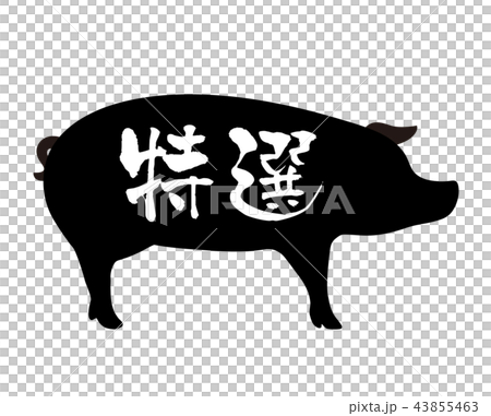 特選ラベル 43855463