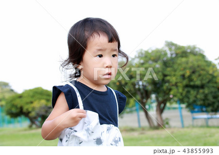2歳の女の子のポートレート 2歳の女の子のポートレート 43855993