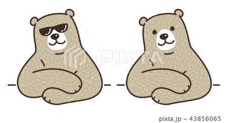 Bear vector polar Bear logo icon sunglasses  43856065