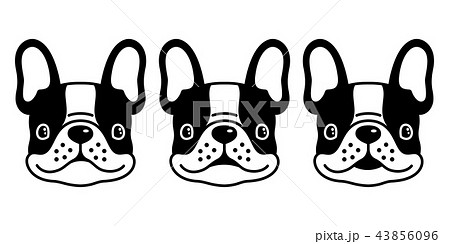 dog vector french bulldog icon logo character cute 43856096