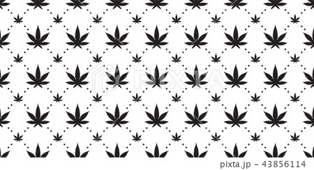 Marijuana seamless pattern vector cannabis Weed 43856114