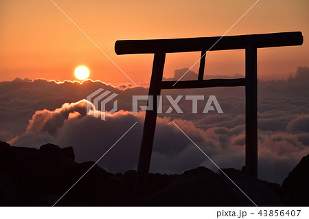 茶臼岳御来光 43856407