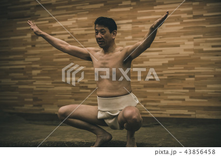 Sumo wrestling Sumo wrestling 43856458