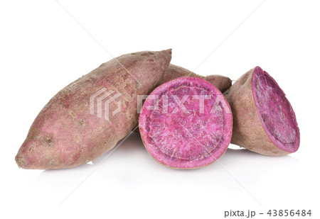 Sweet potato isolated on white background 43856484
