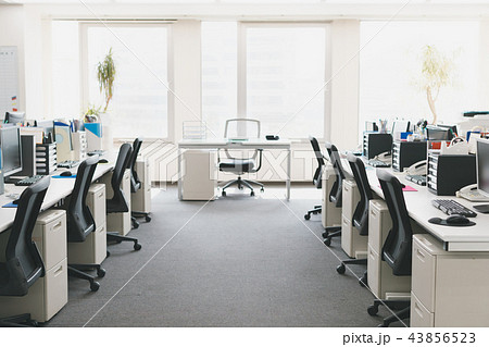 office 43856523