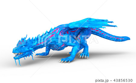 カラードラゴン 43856530