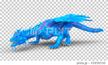 カラードラゴン 43856530