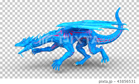 カラードラゴン カラードラゴン 43856531