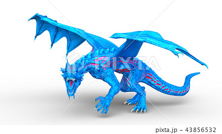 カラードラゴン 43856532