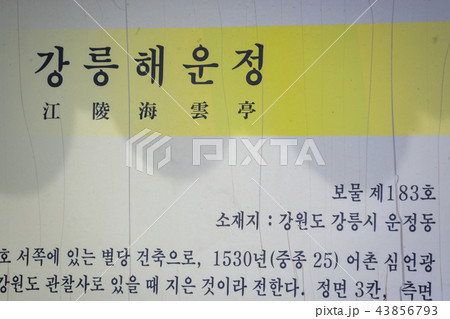 江原道 韓国 屋外 43856793