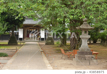 新潟県・村上散歩：城下町村上　藤基神社・唐門と源氏塀 43858975
