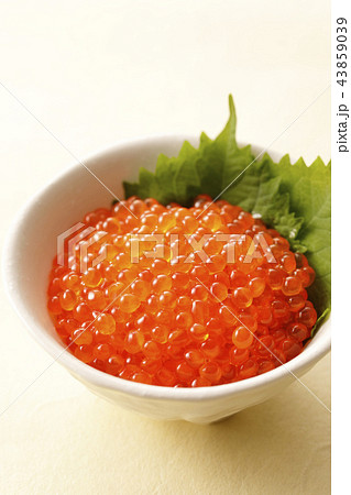 いくらの醤油漬け いくらの醤油漬け 43859039