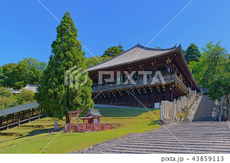【東大寺 二月堂】 (高解像度版) 奈良県奈良市雑司町 43859113