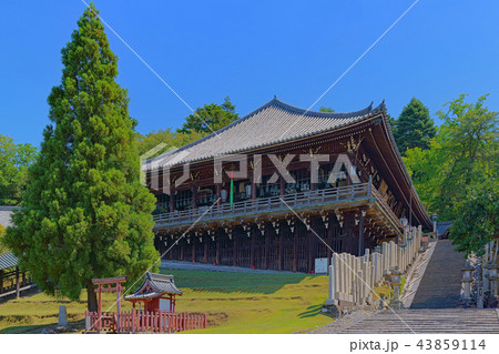【東大寺 二月堂】 (高解像度版) 奈良県奈良市雑司町 【東大寺 二月堂】 (高解像度版) 奈良県奈良市雑司町 43859114